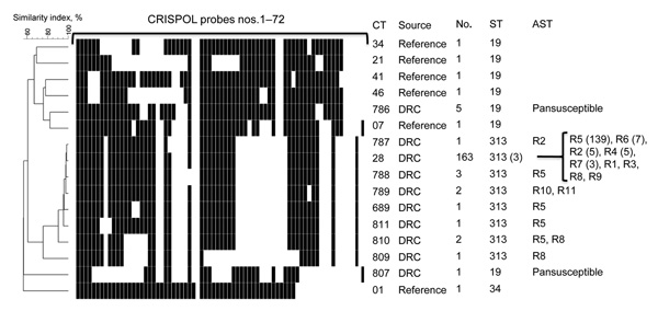 Representative CRISPOL profiles of Salmonella enterica serotype Typhimurium isolates studied. CRISPOL is a recently developed high-throughput assay based on clustered regularly interspaced short palindromic repeats (CRISPR) polymorphisms. Black squares indicate presence of the CRISPR spacer, detected by the corresponding probe; white squares indicates absence of the spacer. The dendrogram was generated by using BioNumerics version 6.6 software (Applied Maths, Sint-Martens-Latem, Belgium) as desc