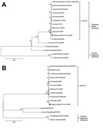 Thumbnail of Phylogenetic trees of influenza A(H1N1)pdm09 virus (pH1N1) isolated from a giant panda in China compared with previously characterized pandemic influenza A(H1N1) viruses. A) Hemagglutinin gene nucleotide sequences; B) neuraminidase gene nucleotide sequences. Neighbor-joining trees were created by using MegAlign software version 5.0 (www.megasoftware.net). Bootstrapping with 1,000 replicates was performed to determine the percentage reliability for each internal node. Horizontal bran