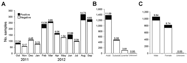 Epidemiologic analyses of feral swine serum samples seropositive for influenza A virus by ELISA, United States, 2011–2012. A) Temporal distribution. B) Distribution of feral pigs, by age.. C) Distribution of feral pigs, by sex,. The numbers on the bar indicate the influenza A virus–seropositive percentile.
