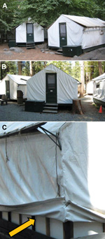Thumbnail of Regular and signature tent cabins, Yosemite National Park, summer, 2012. A) Outside view of a regular tent cabin. B). Outside view of a signature tent cabin. C) Inner layer of foam insulation underthe canvas of a signature tent cabin.