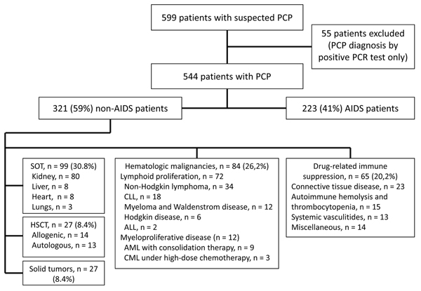 Flowchart of selection of patients with Pneumocystis jirovecii pneumonia (PCP) for study and underlying conditions among non-AIDS patients, France, January 1, 2007–December 31, 2010. Miscellaneous conditions: inflammatory diseases or automimmune (n = 4); common variable immunodeficiency (n = 2); focal segmental glomerulosclerosis (n = 2); sarcoidosis (n = 1); steroid-dependent asthma (n = 1); idiopathic pulmonary fibrosis (n = 1); acute alcoholic hepatitis (n = 3). ALL, acute lymphoid leukemia; 