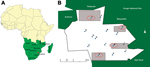 Thumbnail of Location of study area (A, red dot) and location of dip tanks (B) in study of bovine tuberculosis transmission, Greater Kruger National Park Complex, South Africa, August 2012–February 2013. Parentheses used below indicate the shortest distance between individual dip tanks and the game fence, as follows: dip tank A (3.1 km), B (3 km), C (4.2 km), D (7.3 km), E (2.3 km), F (1 km), G (6.1 km), H (5.8 km), I (0.5 km), J (6 km), K (1.2 km), L (1 km), M (4.3 km), N (2 km), O (6.4 km). Bl
