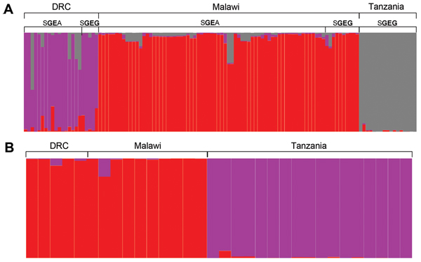 Predicted population structure of Plasmodium falciparum parasites from eastern Africa among those with A) double-mutant (SGEA) or triple-mutant (SGEG) dihydropteroate synthase (dhps) haplotypes and B) those with only the triple-mutant SGEG dhps haplotype. Estimations of number of populations and assignments of individual parasites to clusters were computed with STRUCTURE (29,30) by using a burn-in period of 10,000 and 10,000 iterations and models that assume no admixture and which use prior info