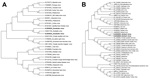 Thumbnail of Phylogenetic analyses of Gouleako virus (GOLV) and Herbert virus (HEBV) collected from swine in the Republic of Korea, 2013 (KJ830623–J830626, in boldface) and other family Bunyaviridae viruses. The bootstrap consensus trees were constructed by using the maximum-likelihood method based on the general time-reversible model, implemented in MEGA version 6.06 (http://www.megasoftware.net). The phylogenetic trees for GOLV (A) and HEBV (B) were inferred on the basis of nucleotide sequence