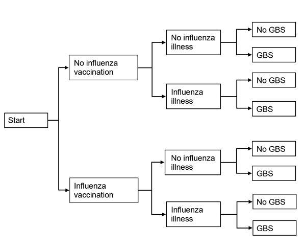 Probabilistic decision tree modeling approach used in a study simulating the effect of influenza and influenza vaccination on the risk of acquiring Guillain-Barré syndrome. It is assumed that each person has the choice of being vaccinated against influenza.