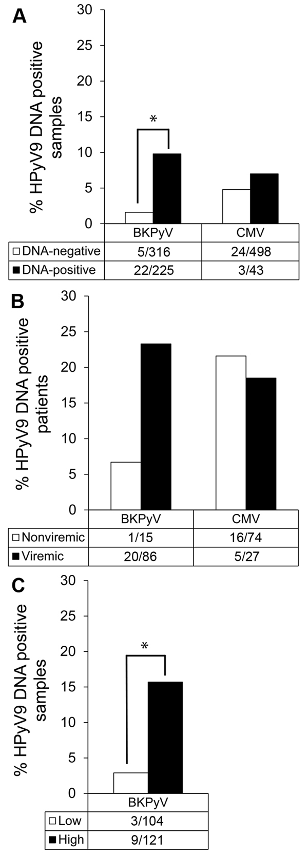 Association between human polyomavirus 9 (HPyV9), BK polyomavirus (BKPyV), and cytomegalovirus (CMV) infection among transplant patients, the Netherlands. A) Percentage of HPyV9 DNA–positive samples among samples that tested negative (white bars) or positive (black bars) for BKPyV and CMV DNA; B) percentage of HPyV9 viremic patients among BKPyV- and CMV-nonviremic (white bars) and viremic (gray bars) patients; C) percentage of HPyV9 DNA–positive samples by measured BKPyV load within the same sam