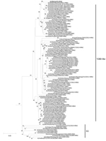 Thumbnail of Neighbor-joining phylogenetic tree of the polymerase basic 2 (PB2) genes of H9N2 subtype lineage avian influenza A viruses with A/Alberta/01/2014 (GISAID accession no. EPI500778). The avian influenza A(H5N1) virus detected in Canada is underlined. Major lineages of the H9N2 subtype–like PB2 genes are depicted to the right of the phylogenetic clusters. Bootstraps generated from 1,000 replicates are shown at branch nodes. Scale bar represents nucleotide substitutions per site. For a f