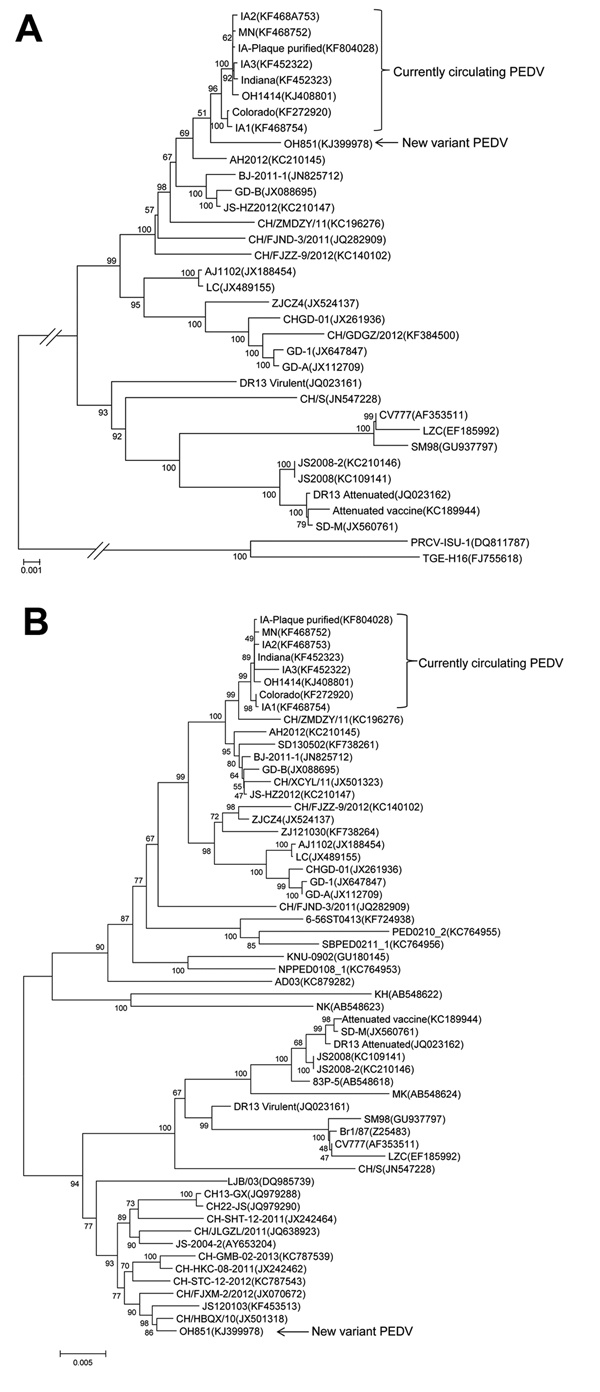 Phylogenetic tree of the whole-genome sequences of 33 strains of porcine epidemic diarrhea virus (PEDV) (A) and of spike protein nucleotide sequences of 56 strains of PEDV (B), including the new variant PEDV (OH851) and 8 PEDV strains currently circulating in the United States. The dendrogram was constructed by using the neighbor-joining method in MEGA version 6.05 (www.megasoftware.net). Bootstrap resampling (1,000 replications) was performed, and bootstrap values are indicated for each node. R