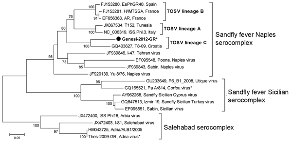 Neighboring-joining tree constructed on the basis of a 202-bp fragment of the large RNA segment of sandfly-borne phleboviruses. Black circle indicates Toscana virus strain detected in this study in a patient in Greece; asterisks (*) indicate phleboviruses detected in Greece. The percentages of replicate trees in which the associated taxa clustered together in the bootstrap test (1,000 replicates) are shown next to the branches. Evolutionary analyses were conducted in MEGA5 (http://www.megasoftwa