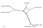 Thumbnail of NeighborNet (16) tree showing geographic divergence of bovine and human Shiga toxin–producing Escherichia coli O157:H7 isolates sourced from New Zealand (40 cattle, 363 human), Australia (205 cattle, 79 human), and the United States (US) (143 cattle, 179 human). The distance indicates the difference in proportional similarity of Shiga toxin–encoding bacteriophage insertion types among the isolates.