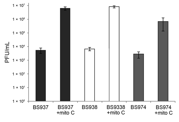Infectious phage in the supernatants of Shiga toxin 1a gene (stx1a)–encoding Shigella flexneri are induced with mitomycin C (mito C) treatment. Supernatants were collected from exponential cultures of BS937, BS938, and BS974 grown with or without 0.5 μg/mL mito C for 3 h. The number of infectious phage particles was determined by a soft agar overlay method that used Escherichia coli MG1655 as the recipient. Plaque forming units (PFUs) of phage lysate were counted after 24 h incubationData are av