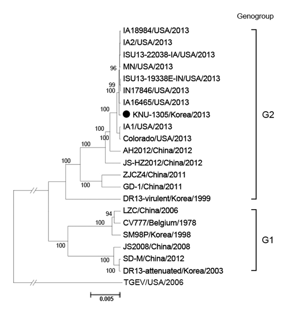 Phylogenetic analysis based on the nucleotide sequences of the full-length genomes of porcine epidemic diarrhea virus (PEDV) strains (GenBank numbers are shown in Figure 1, panel A). The complete genome sequence of transmissible gastroenteritis virus (TGEV) was included as an outgroup in this study. Numbers at each branch represent bootstrap values &gt;50% of 1,000 replicates. Names of the strains, countries and years of isolation, and genogroups and subgroups proposed in this study are shown. S