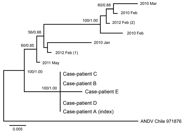 Phylogenetic analyses of the medium RNA segment (Gc and Gn) of concatenated sequences of Andes hantavirus (ANDV). Isolates from the case-patients (A–E) from the 2011 outbreak in Chile were compared with control samples from the same geographic region (indicated by year isolated; number in parentheses indicates multiple isolates from the same year) and an ANDV sequence from GenBank (bottom isolate on tree; accession no. NC_003467.2). Scale bar indicates substitutions per site.