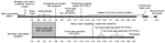 Thumbnail of Timeline of illness for family cluster of 2 patients with confirmed influenza A(H7N9) virus infection, Guangzhou, China, 2014. ICU, intensive care unit; rRT-PCR, real-time reverse transcription PCR; +, positive; –, negative.
