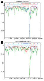 Thumbnail of Identification of US porcine epidemic diarrhea virus (PEDV) strains with insertions and deletions in the spike gene as potential recombinant strains. At each position of the window, the query sequence USA/Iowa107/2013 (A) or USA/Minnesota42/2013 (B) was compared with background sequences for 3 strains from China (CH/ZMZDY/11, CH/s, and AH2012). The x-axis represents the length of the PEDV genome, and the y-axis represents the similarity value. The red line represents PEDV strain CH/