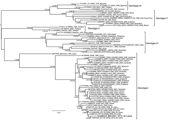 Bayesian phylogenetic tree based on complete envelope protein coding gene of dengue virus 1 (DENV-1) serotype. The tree was constructed by using the Bayesian Markov Chain Monte Carlo Sampling method and BEAST software (http://beast.bio.ed.ac.uk). The general time reversible model of sequence evolution with gamma-distributed rate variation among sites and a proportion of invariable sites and a relaxed (uncorrelated log-normal) molecular clock model were used. Bayesian posterior probabilities and 