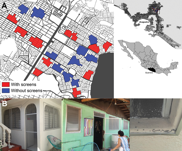 Area of study of long-lasting insecticide-treated screens in Acapulco, Mexico, March 2011–March 2013. A) Locations of clusters in the neighborhoods of Ciudad Renacimiento and Zapata, showing areas with (red) and without (blue) screens. Insets show location of study area (black box) in Acapulco and Guerrero state (black shading) in Mexico. B) Photographs of screens mounted on aluminum frames and fixed to windows and external doors of treated houses in 2012. The insects visible in the right photog