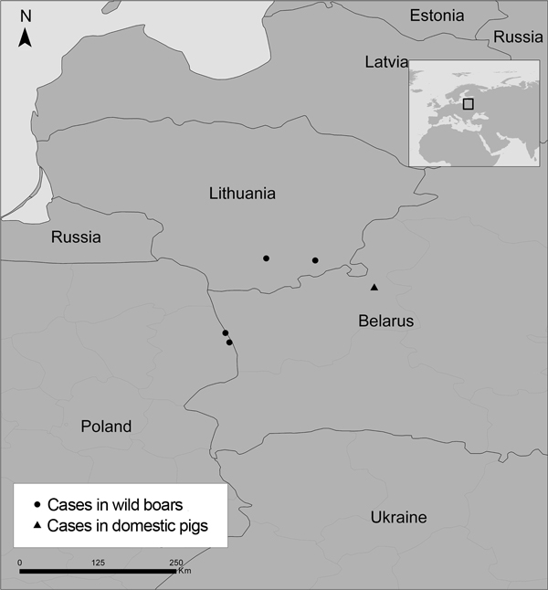 Locations of 4 cases of African swine fever in wild boars in the European Union countries of Poland and Lithuania and location of a 2013 outbreak among domestic pigs in Belarus, an eastern European country that shares a border with Poland and Lithuania. Inset map shows location (square) of countries in the larger map within the larger surrounding area.