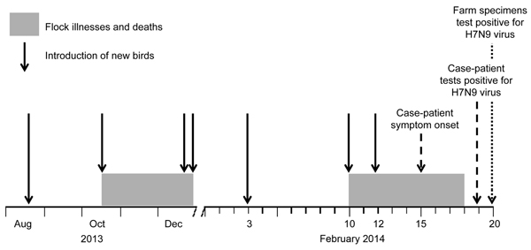 Timeline of introduction of new birds to the farm of the case-patient with influenza A(H7N9) virus infection in Jilin Province, China, 2013–2014. Dates of illnesses and deaths among bird flock on farm, the case-patient’s symptom onset, and confirmed testing results are indicated.