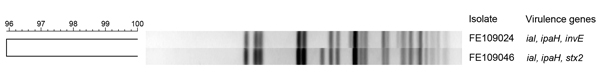 UPGMA dendrogram of XbaI restriction patterns of 2 Shigella sonnei isolates from a patient from Finland who became ill during a visit to Morocco. Genomic comparison of the 2 isolates was performed by using pulsed-field gel electrophoresis according to the standard protocol. The isolates showed 96% similarity, and a 3-fragment difference suggests that 1 isolate was a variant of the other. Scale bar represents % similarity. ial, invasion-associated locus; ipaH, invasion plasmid antigen H; invE,  i