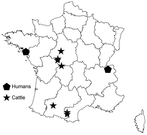 Geographic locations of human and cattle cases of Echinococcus ortleppi infections, France, 2011–2012.