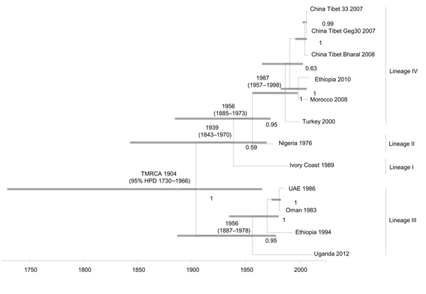 Time-scaled Bayesian maximum clade credibility phylogeny tree based on peste des petits ruminants virus complete genome sequences. The tree was constructed by using the uncorrelated exponential distribution model and exponential tree prior. Branch tips correspond to date of collection and branch lengths reflect elapsed time. Tree nodes were annotated with posterior probability values and estimated median dates of time to most recent common ancestor (TMRCA). Corresponding 95% highest posterior de