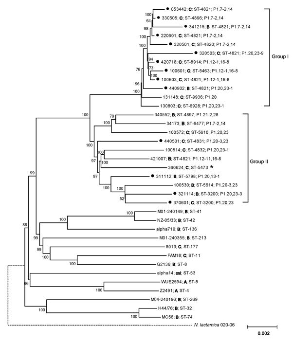 Phylogenetic analysis of genome sequences for Neisseria meningitidis strains. With the exception of reference strain 053442 (serogroup C, sequence type 4821), all strains in groups I and II were sequenced in this study. The strain identification number, serogroup (in boldface), sequence type, and porin A type are shown for each sequence. Bootstrap values are listed at nodes. Black dots preceding identification numbers indicate strains isolated from patients. The dotted line between N. lactamica 