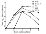 Thumbnail of Viral RNA copy numbers for West Nile virus (WNV)–infected carrion crows after inoculation with 2,000 50% tissue culture infectious doses of WNV; each group (n = 6) was inoculated with a different strain. RNA copy numbers are represented as log-transformed medians. The assay had a detection limit of 9 (1.0 log10) RNA copies/mL of serum.