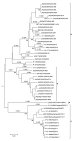 Thumbnail of Neighbor-joining tree of enterovirus (EV) A71 strains isolated in India. Partial viral protein (VP) 1 sequences (707 nt) were used for the analysis. Genetic distances calculated by Kimura 2-parameter method are shown above the branches, and bootstrap values (1,000 replicates) are shown below. India isolates clustered into 3 genogroups D and G and subgenogroup C1. VP1 sequence of CA16 was used as the outgroup (not shown). Scale bar indicates nucleotide substitutions per site.