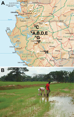 Thumbnail of Environmental survey. A) Gabon, showing location of the 8 sites from which soil was sampled to test for the presence of B. pseudomallei, July 2012–September 2012. B) Soil sampling site no. H, a rice field near Mouila village. 