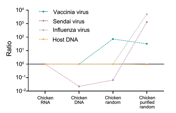 Changes in virus-to-host nucleic acid signal-to-noise ratio during development of tissue-based universal virus detection for viral metagenomics (TUViD-VM) protocol. Next-generation sequencing results for virus-infected chicken tissue comparatively sequenced were obtained by using 4 approaches: standard RNA library preparation (Chicken RNA), standard DNA library preparation (Chicken DNA), DNA library from random-amplified chicken tissue (Chicken random), and DNA library from random-amplified chic