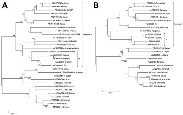 Phylogenetic analysis of partial open reading frame (ORF) 2 and ORF1 sequences of hepatitis E virus (HEV). Phylogenetic trees were constructed in MEGA6 software (http://www.megasoftware.net) by using the neighbor-joining method from a Kimura 2-parameter distance matrix based on partial nucleotide sequences of ORF2 (A) and ORF1 (B). Bootstrap values obtained from 500 resamplings are shown. Sequences were retrieved from the serum of a 45-year-old woman in France in whom hepatitis E was diagnosed i