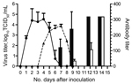 Thumbnail of Results of virus titration and hemagglutination-inhibition assay for the cohort of cats inoculated with equine influenza A(H3N8) virus and the contact cohort. Virus shedding was titrated in MDCK cells. Virus titer is shown as log10 median tissue culture infective dose (TCID50) (solid line and circles, inoculated cohort; dashed line and triangles, contact cohort). Hemagglutination-inhibition assay of serum samples was conducted by using 1% horse erythrocytes (black bars, inoculated; 