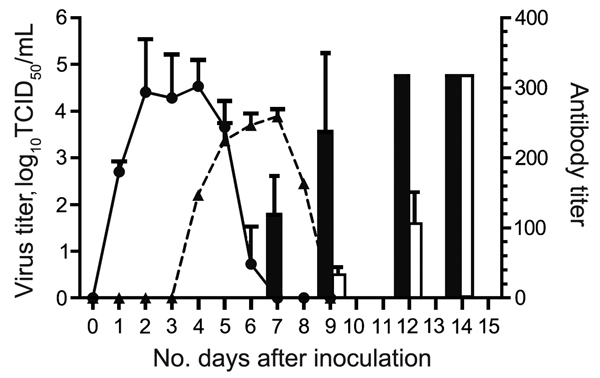 Results of virus titration and hemagglutination-inhibition assay for the cohort of cats inoculated with equine influenza A(H3N8) virus and the contact cohort. Virus shedding was titrated in MDCK cells. Virus titer is shown as log10 median tissue culture infective dose (TCID50) (solid line and circles, inoculated cohort; dashed line and triangles, contact cohort). Hemagglutination-inhibition assay of serum samples was conducted by using 1% horse erythrocytes (black bars, inoculated; white bars, c