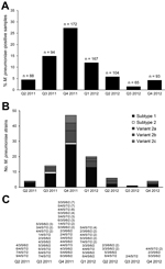 Thumbnail of Results of molecular detection of Mycoplasma pneumoniae from 783 respiratory tract specimens from adult patients with pneumonia, Germany, March 2011–December 2012. A) Quarterly incidence of M. pneumoniae infection. n values indicate number of samples investigated by real-time PCR. B) M. pneumoniae P1 genotypes. C) M. pneumoniae multilocus variable-number tandem-repeat analysis types. Numbers of strains belonging to a given type are indicated in parentheses.