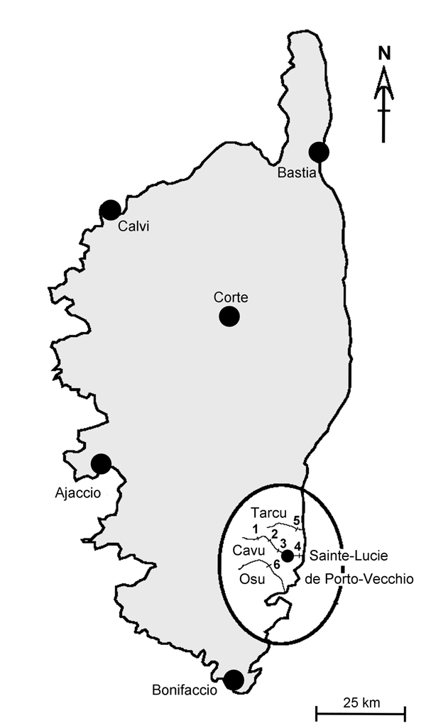 Corsica, France, showing malacologic survey sampling sites (oval) in 3 rivers (Tarcu, Cavu, and Osu). Bulinus truncatus snails were found at sites 1, 2, 3, 5, and 6. 