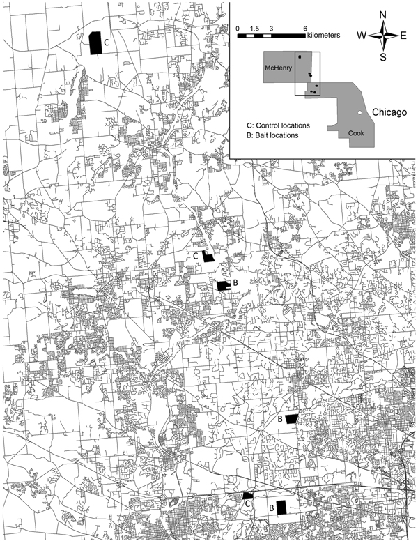 Location of study areas within the metropolitan area of Chicago, Illinois, USA, showing treatment and control sites. Insert indicates location of metropolitan Chicago counties where baits were placed.
