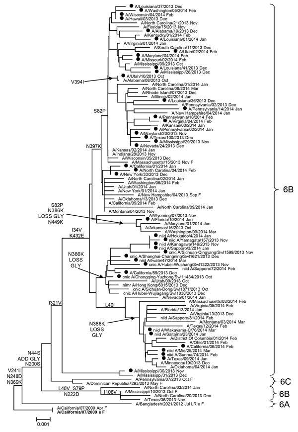 Evolutionary relationships among influenza A (H1N1)pdm09 virus neuraminidase genes, United States, 2013–14. Phylogenetic tree was generated by using the MEGA software package v5.2 (http://www.megasoftware.net/) and the neighbor-joining method. Evolutionary distances were computed by using the maximum composite likelihood model. Analysis included 100 representative A(H1N1)pdm09 neuraminidase gene sequences. Scale bar indicates nucleotide substitutions per site. Solid circles indicate oseltamivir-
