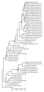 Thumbnail of Phylogenetic tree comparing sequences of outbreak and other enterovirus A type 71 (EV-A71) subgenogroup C4 strains isolated in Russia during 2012–2013 with the most closely related sequences in GenBank. Complete viral protein 1 genome regions (891 nt) were compared. The tree was reconstructed by using a coalescent Bayesian algorithm implemented in BEAST 1.7.5 (11) with the SRD06 substitution model, relaxed exponential clock, and constant population prior. The dataset included 63 Gen