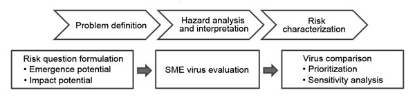 Alignment of the Influenza Risk Assessment Tool with a general microbial risk assessment framework. SME, subject matter expert.