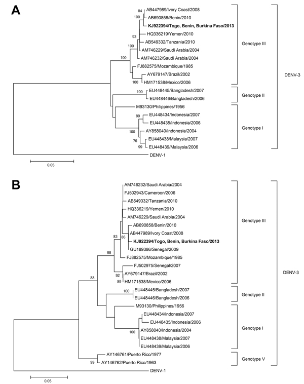 Phylogenetic trees of A) a 1,479-nt fragment of the complete envelope glycoprotein gene and B) a 220-nt fragment of the partial envelope glycoprotein gene of dengue virus. Phylogeny was based on a neighbor-joining tree with p-distance and 1,000 bootstrap replicates. Bootstrap values &gt;75 are indicated along the branches. The strain isolated in this study from a 71-year-old man who returned from West Africa to Germany is indicated in bold. Scale bars indicate percentage of nucleotide distance.