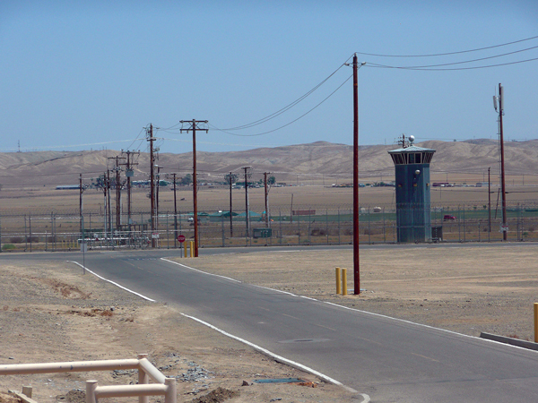 Prison B, located in an arid, coccidioidomycosis-hyperendemic area of the Central Valley of California, USA. Little natural vegetation grows on the grounds and in surrounding areas. Photograph courtesy of National Institute for Occupational Safety and Health.