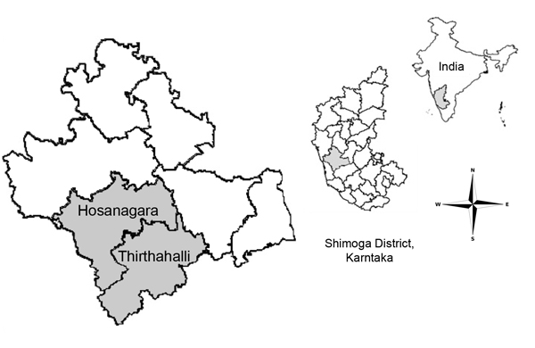 Map of Shimoga District, Karnataka State, India, showing the location of Thirthahalli and Hosanagara Taluks, which were affected by an outbreak of Kyasanur Forest disease virus during December 31, 2013–April 7, 2014, and other taluks within the state. The smaller inset maps show, respectively, the location of Shimoga District within Karnataka State and the location of Karnataka State within India.