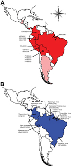 Thumbnail of Comparison of the geographic locations from which Guaroa virus (GROV) strains used in this study were isolated (A) and the geographic distribution of the Wyeomyia virus (WYOV) group (B), Central and South America. Countries from which GROVs have been isolated are shown in dark red; countries from which WYOVs have been isolated are shown in dark blue. Light red indicates countries with only serologic evidence of GROV circulation; light blue indicates countries with only serologic evi