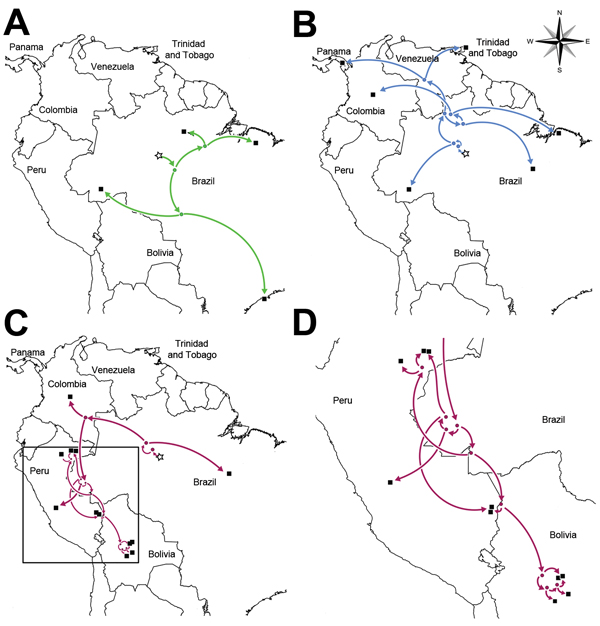 Spread (arrows) of Wyeomyia virus (WYOV) group viruses and Guaroa virus (GROV) in Central and South America. A) Anhembi lineage WYOV group viruses; B) Wyeomyia lineage WYOV group viruses; C) GROVs. D) Enlargement of boxed area in panel C, showing the spread of GROV in Bolivia and Peru, as determined by phylogeographic analysis. Bayesian coalescent phylogenies incorporating sample times and locations (Technical Appendix Table) were calculated for the nucleoprotein open-reading frame dataset by us