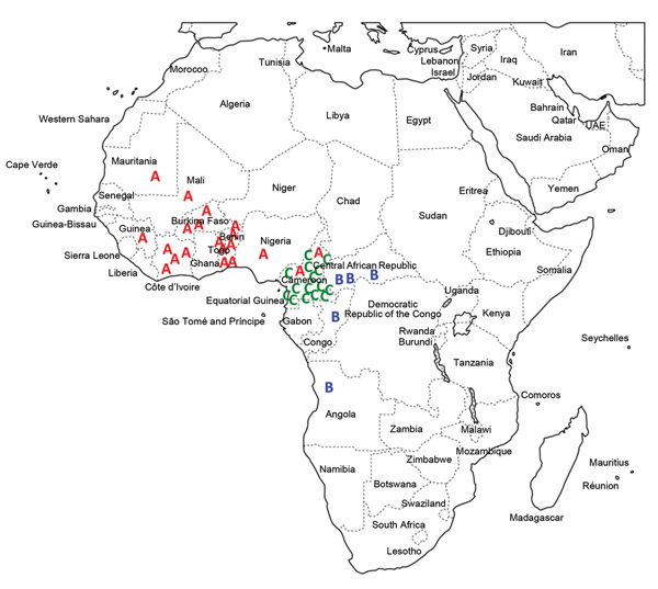 Distribution of multidrug-resistant Salmonella enterica serotype Typhi isolates by genetic lineage (A, B, or C), Gulf of Guinea region, Africa. Location within the country of infection/isolation was assigned at random. UAE, United Arab Emirates.