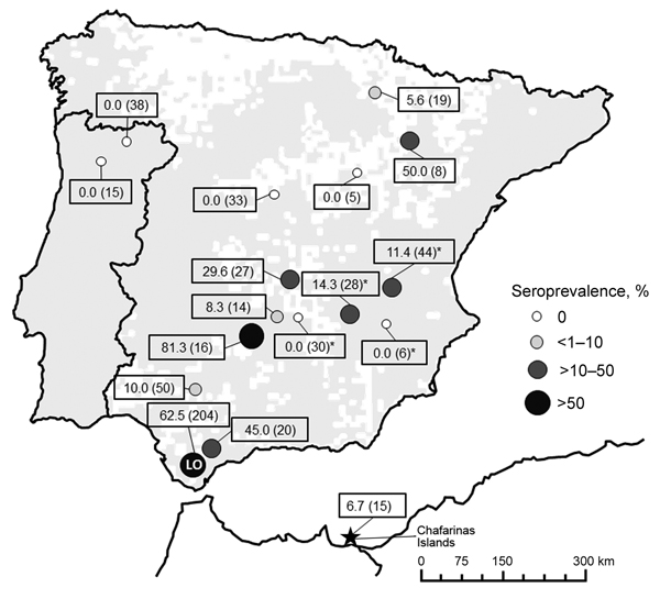 Seroprevalence of Coxiella burnetii (sample size) in wild and farmed European rabbits (Oryctolagus cuniculus), Iberian Peninsula and Chafarinas Islands. The distribution area of wild rabbits in the Iberian Peninsula (10 x 10 km Universal Transverse Mercator squares) is shown (gray shading) according to Mitchel-Jones et al. (9). LO sampling location is indicated. *Rabbit farm.