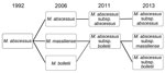 Thumbnail of Serial changes in the nomenclature and taxonomic classification of Mycobacterium abscessus complex, 1992–2013.