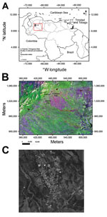 Thumbnail of A) Location (red box) of outbreak of Mayaro virus, La Estación village, municipality of Ospino, Portuguesa State, Venezuela, 2010. Scale bar is at the lower left. B) Landsat image of eastern Andes and plains (Llanos) showing topography in Portuguesa State, Ospino, and La Estación, 28.5-m scale (http://glcf.umd.edu/data/landsat/). C) Spot image TM-5, 2.5-m scale, from La Estación, showing forest areas surrounding the urban–rural village (http://www.fii.gob.ve/proyectsFlags.html?value