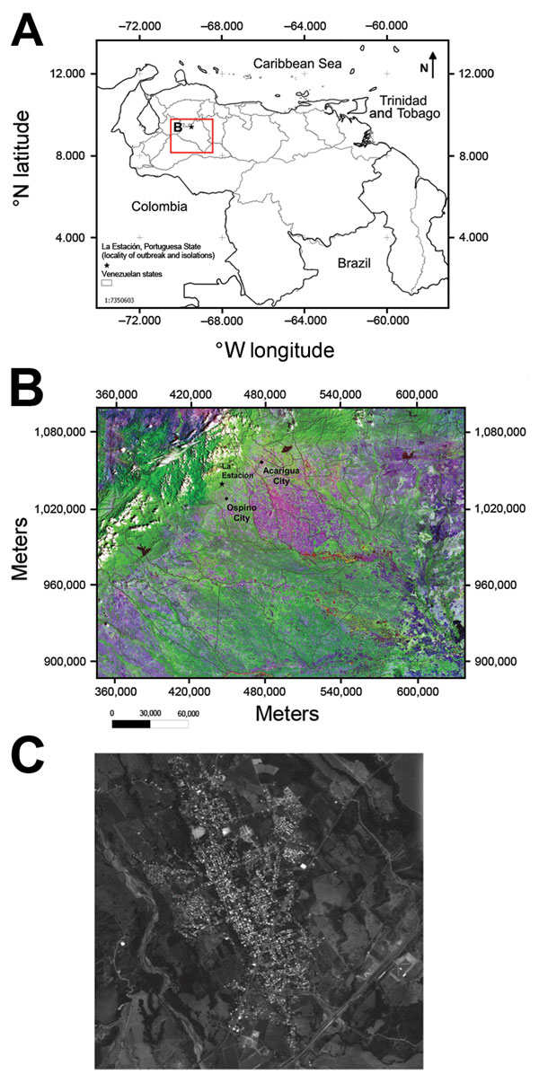 A) Location (red box) of outbreak of Mayaro virus, La Estación village, municipality of Ospino, Portuguesa State, Venezuela, 2010. Scale bar is at the lower left. B) Landsat image of eastern Andes and plains (Llanos) showing topography in Portuguesa State, Ospino, and La Estación, 28.5-m scale (http://glcf.umd.edu/data/landsat/). C) Spot image TM-5, 2.5-m scale, from La Estación, showing forest areas surrounding the urban–rural village (http://www.fii.gob.ve/proyectsFlags.html?value = 5).